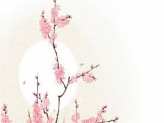 章子怡八字楊森批八字 章子怡八字命理