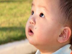 屬兔寶寶起名字 屬兔寶寶起名字適合用泇字嗎?