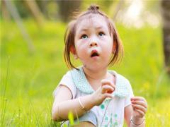 周公解夢夢到給貓抓虱子 做夢夢到給貓抓虱子