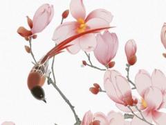 適合jīdū徒男孩的名字 適合jīdū徒男孩的名字有哪些