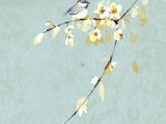 屬虎的和什么屬相最配、相克 屬兔的和什么屬相最配、相克