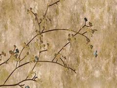 八字測美貌屬于哪個等級 八字看美貌等級