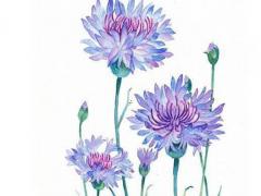 品字五行屬什么 品字五行屬什么吉兇