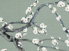 屬豬男人找什么生肖好,屬豬的男找屬什么樣的女人最佳?