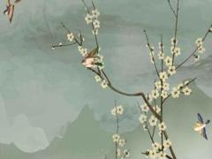 八字全陽女不一般 八字全陽的女人克夫嗎