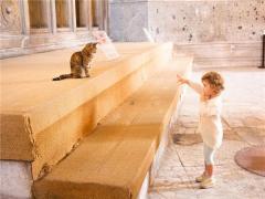 周公解夢大全查詢夢見熟人游泳 夢見熟人在水里游