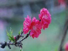 夢見建了一道墻什么意思 夢見建墻是什么意思