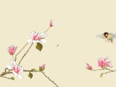 男女屬虎婚姻匹配嗎 男女屬虎好不好