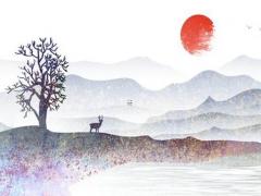 子平講四柱八字人生預測 子平八字視頻講座全集