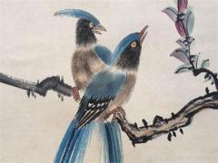 屬鼠在2023年能佩戴貔貅嗎