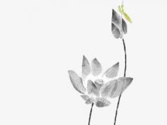 qq炫舞舞團名最新 炫舞舞團名字超拽霸氣