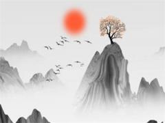 網上學八字那個老師講得好 網上八字可信嗎