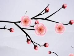 名字打分免費測試生辰 姓名測試打分生辰