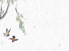 算命怎么看出來(lái)父母離婚 八字看父母是否離婚