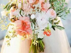 十二星座 韓國名校