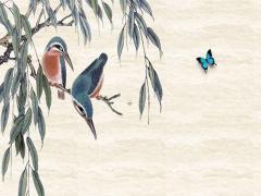 屬龍生屬鼠的寶寶好嗎,屬龍的生老鼠好不好