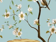 50多屬猴的今年多大,50多歲屬猴的今年多大