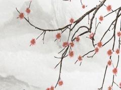 88年屬龍什么時候有災難 88年龍什么時候運氣好一點