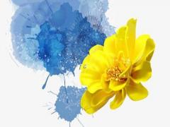 給鼠年出生男孩子起名必知的要點 鼠年出生的男寶寶取什么名字好聽