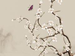 屬馬女和屬龍男相配嗎 屬龍男和屬馬女屬相配嗎