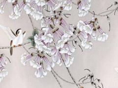 xianggang好聽的明星名字