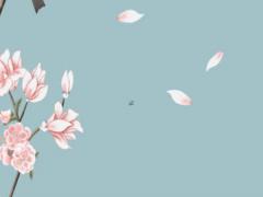 過(guò)生日用陰歷還是陽(yáng)歷 過(guò)生日用陰歷還是陽(yáng)歷?