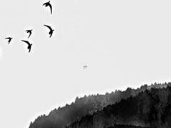 生辰八字取名字免費(fèi)起名周易 免費(fèi)根據(jù)生辰八字起名