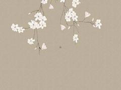 屬猴的92年出生的婚姻,屬猴92年一生婚姻狀況