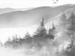 83年屬豬最佳婚配,83年屬豬最佳婚配表