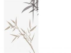 2023走桃花運的屬虎