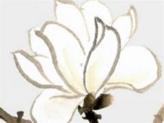 21年屬猴的是幾歲,2821年屬猴的多少歲