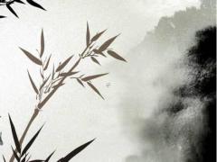 生辰八字分四柱八字 生辰八字算命四柱