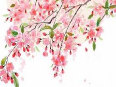 親家不看親家是什么意思 親家不見面是什么意思