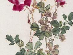 做老板的八字特點(diǎn)是什么 當(dāng)大老板的八字