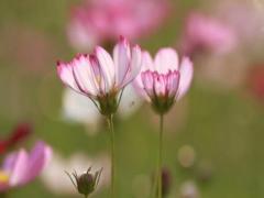 周公解夢夢見藏水里 夢見在水里藏著