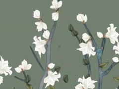 我想給孩子起個好聽的明子名字大全圖片 用明子排行起名