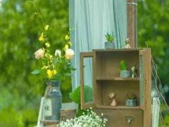 星座查詢農歷轉陽歷 速查