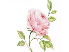 微信網(wǎng)名牛逼系列 最牛的微信網(wǎng)名大全