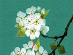 射手座的男藝人 射手座的男明星有哪些