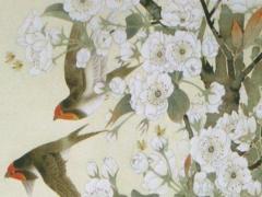 88年屬龍的人情劫,88年屬龍劫難