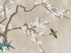 屬猴女與屬龍男相配嗎 屬猴女和龍男相配嗎