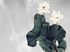 測試上輩子和他的關系 測你上輩子