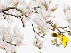 屬蛇的女人和哪個屬相匹配,屬蛇女人和什么屬相最配