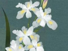 八字怎么算姻緣 八字怎么算婚姻