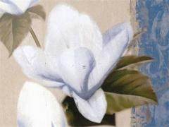 83年屬豬一生婚姻狀況,83年的豬婚姻穩不穩