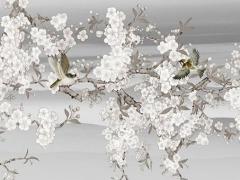 周易五行缺什么查詢 周易算五行缺什么