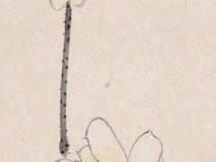 命運(yùn)是可以改變的是什么意思 命運(yùn)可以改變