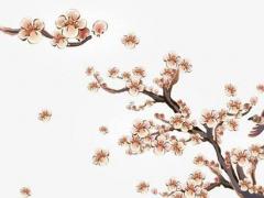 生辰八字配對(duì)網(wǎng)站 生辰八字查詢配對(duì)八字算命