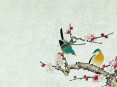 男虛歲二十屬龍婚配宜忌 20歲屬龍男和什么生肖配