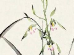 名典生辰八字姓名測試打分免費 名典首頁八字測名